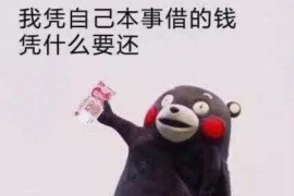 张湾企业清欠服务